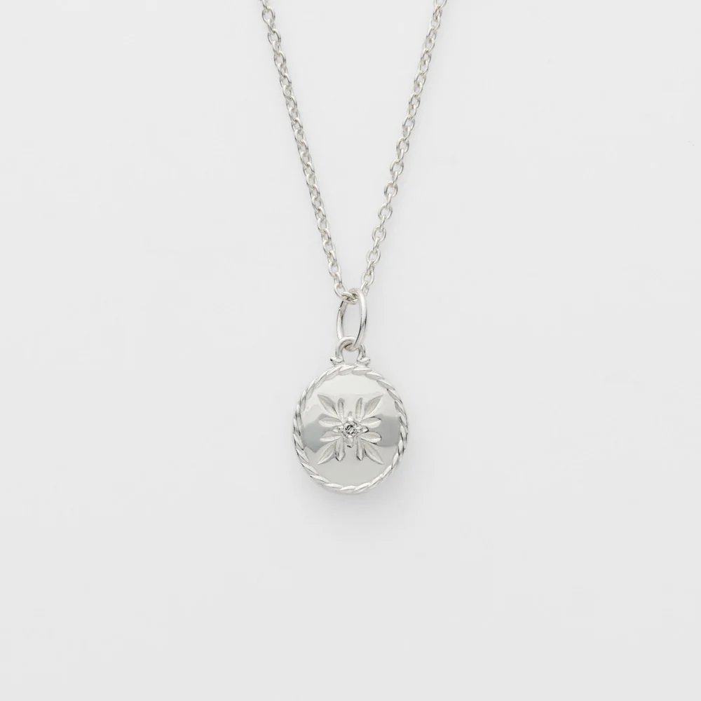 Silver Necklace Charm Set